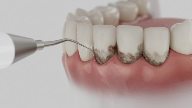 Reliable Dental contractor in Williamsport, PA by Dentist Open Now